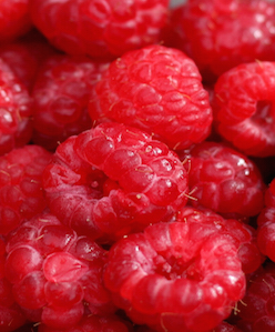 Ekologiškos avietės Ekologiškos avietės